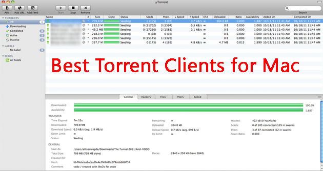 Torrent Mac App Store